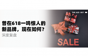 那些曾在618一鸣惊人的新品牌，今天过得怎么样？