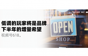 视频号618：最低调的玩家，将是品牌下半年的增量希望？